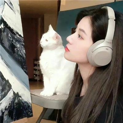 骑士杰克